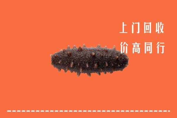 附近收购：元谋县回收海参